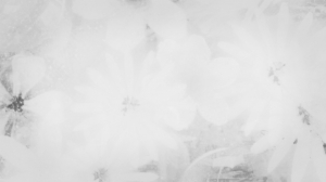 2021-09-12 20.46.42.jpg